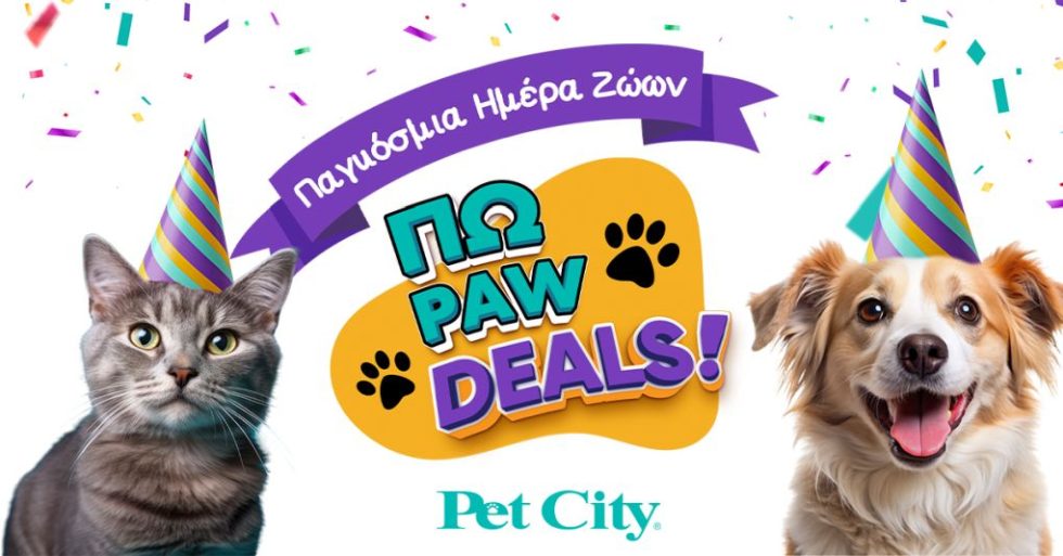 PET CITY